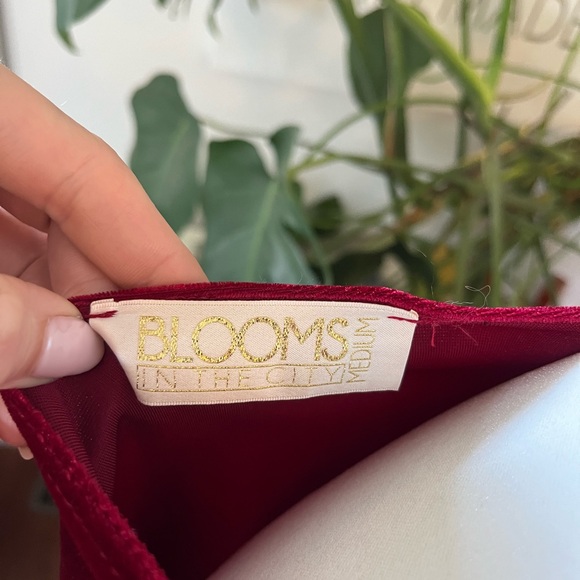 Burgundy Velvet Dress! Sz Med - Picture 2 of 3